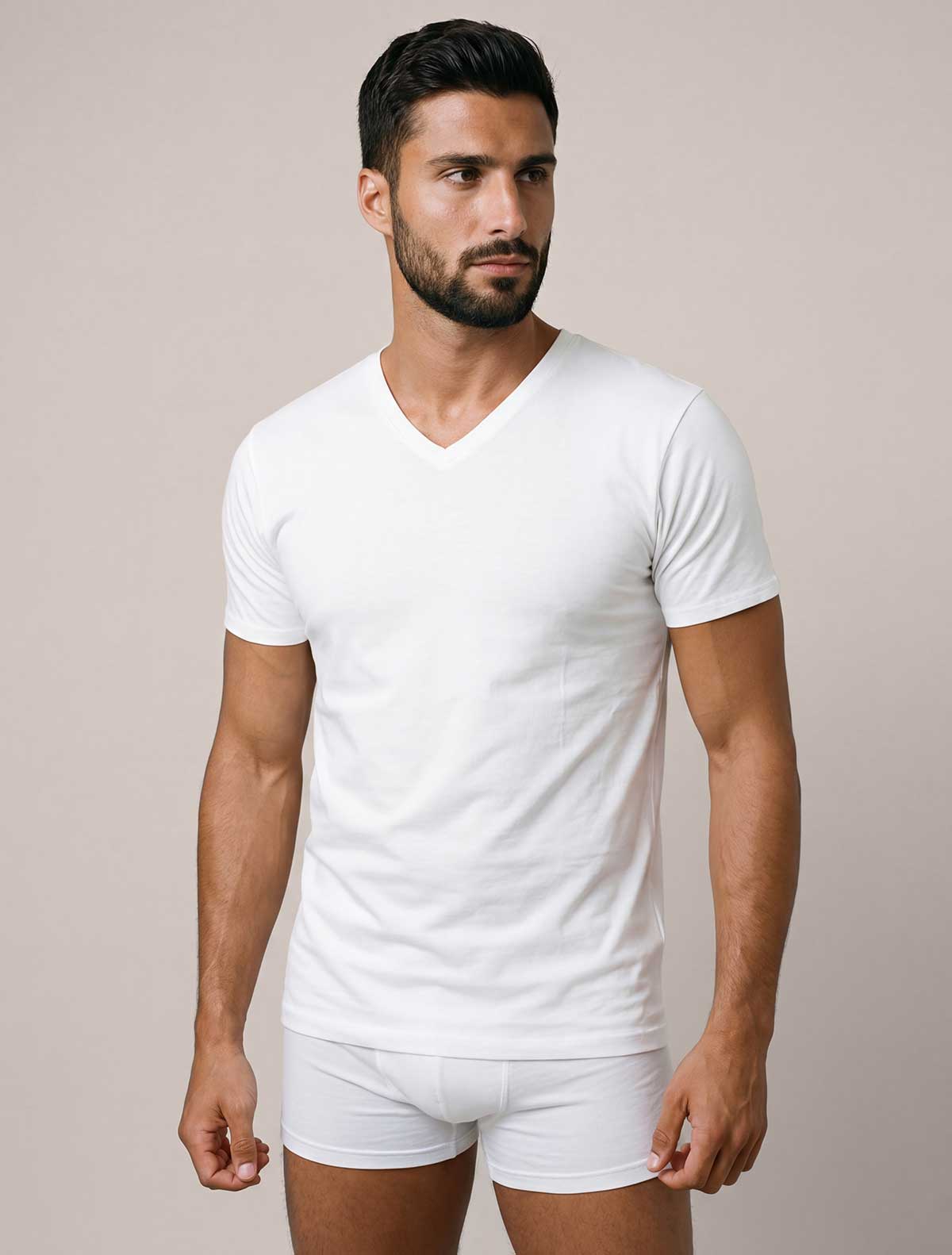 T-shirt homme fil d’Écosse col V * T-shirt homme fil d’Écosse col V